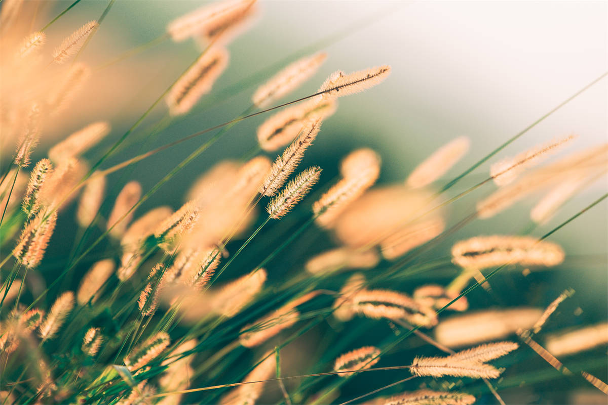 你知道空氣能熱水器有什么優(yōu)缺點(diǎn)嗎？